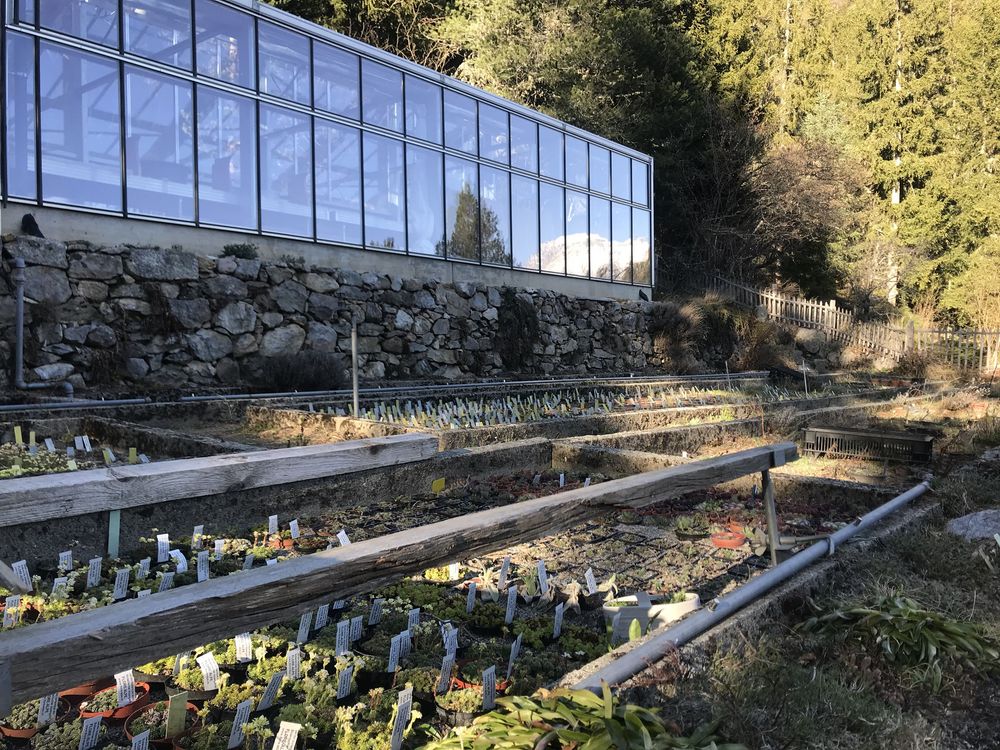 Le Jardin Flore-Alpe