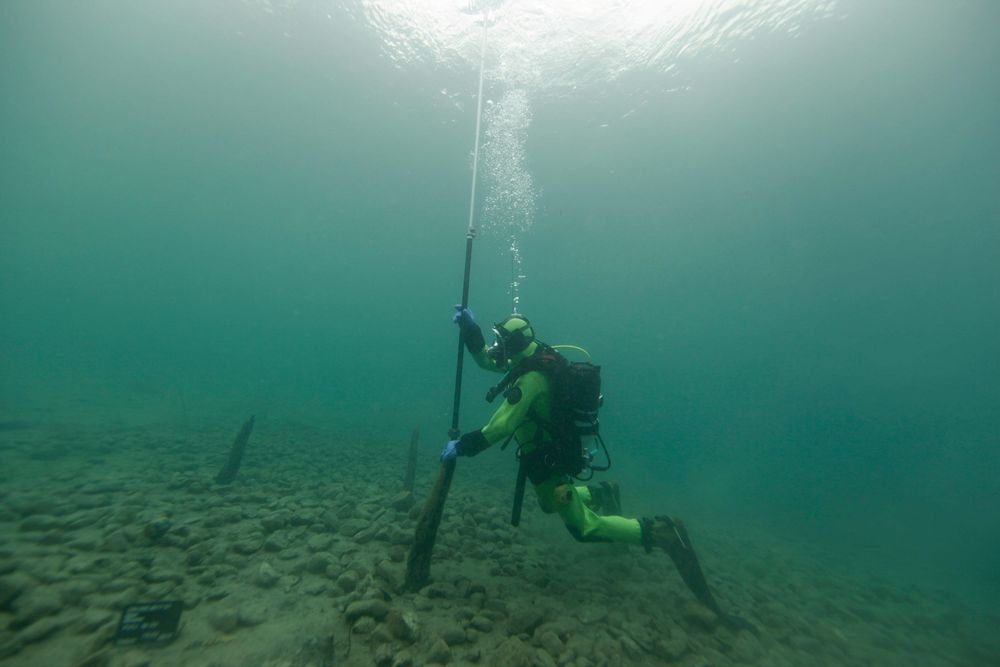 Taucher des Archäologischen Dienstes bei der Arbeit im Thunersee 