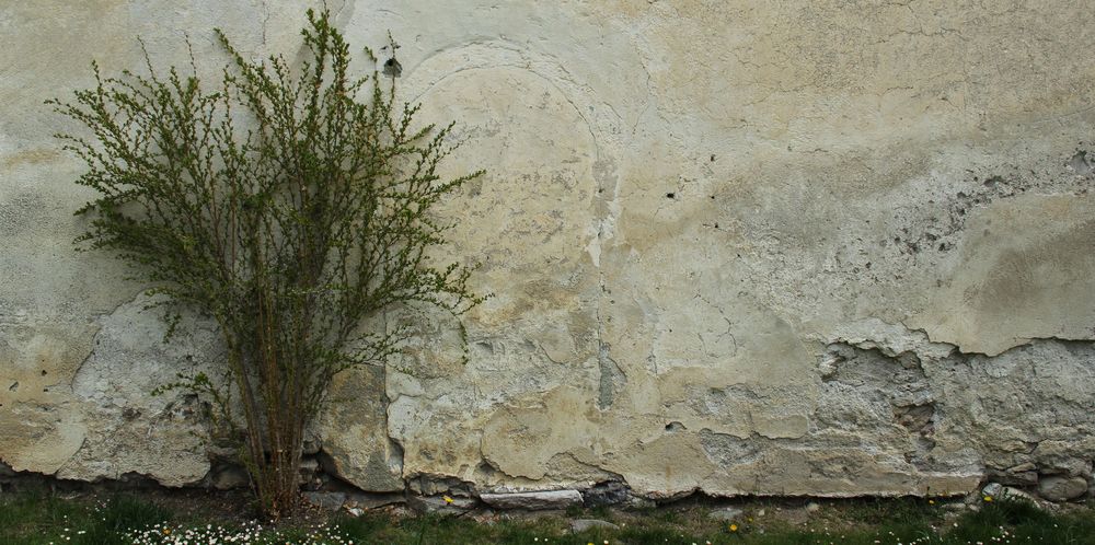 Blick auf die Wand im Westhof