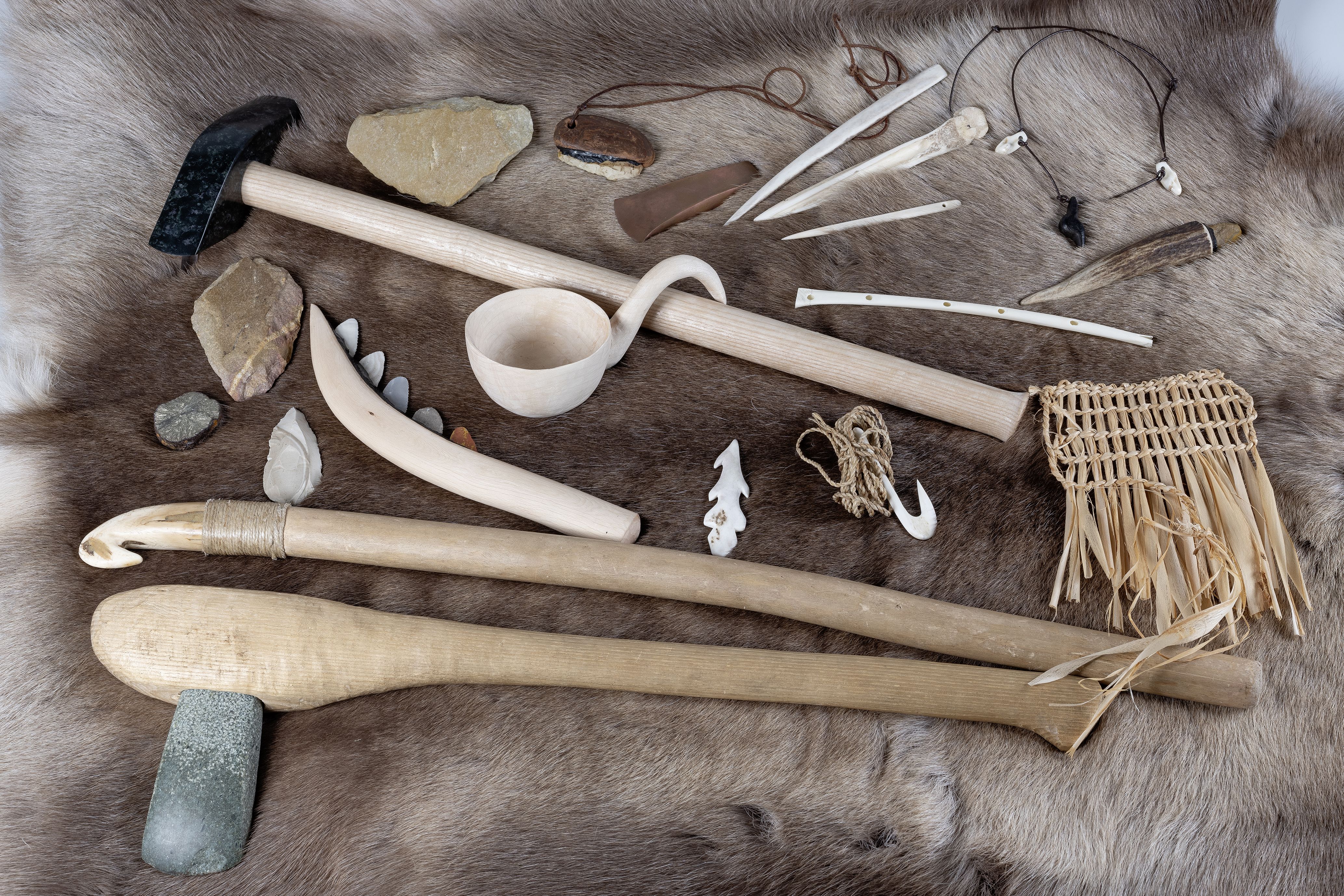 BS – Riehen. In der Steinzeit: Als Neandertaler, Höhlenhyänen und erste Bäuerinnen hier lebten