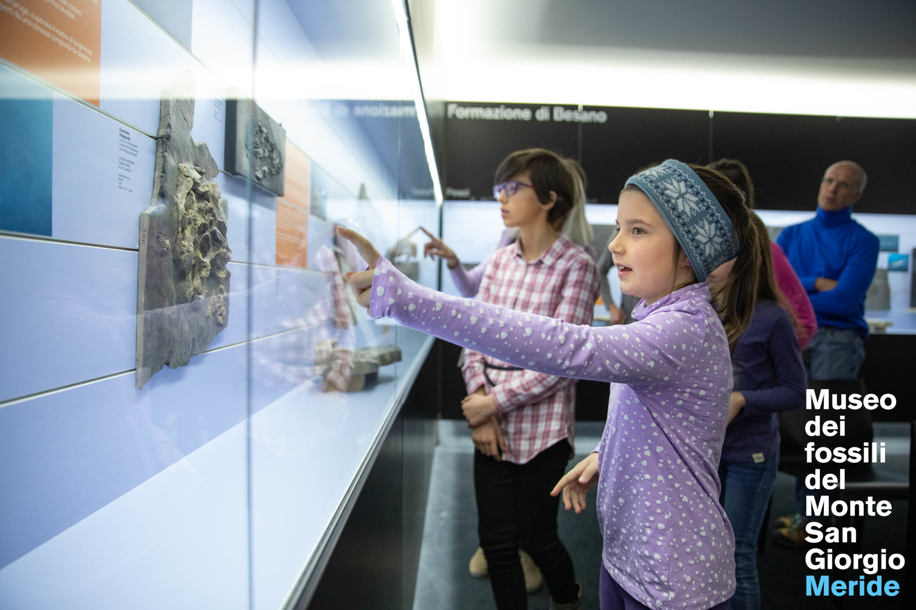 Museo dei fossili del Monte San Giorgio, Meride