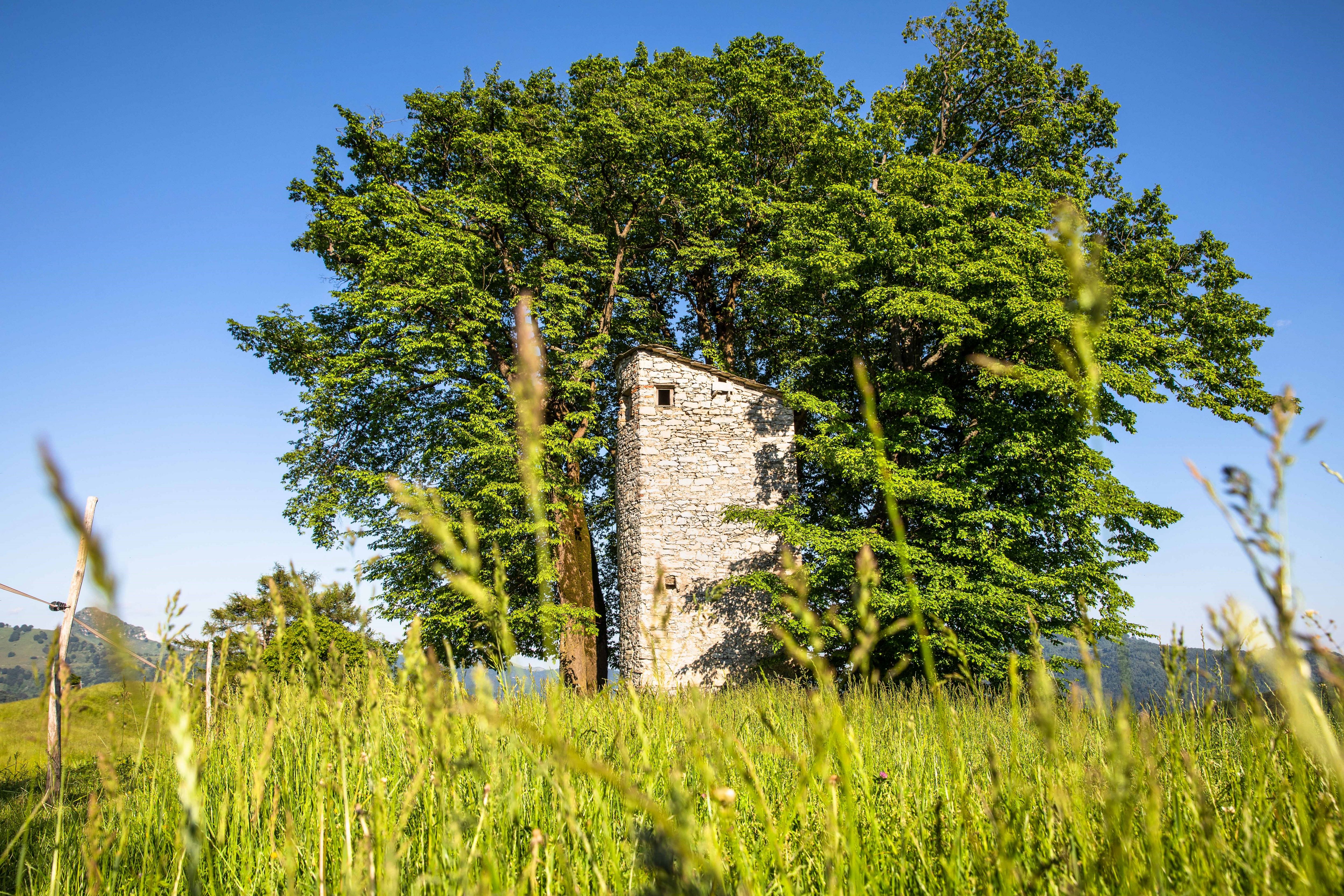 Il roccolo di Pianspessa