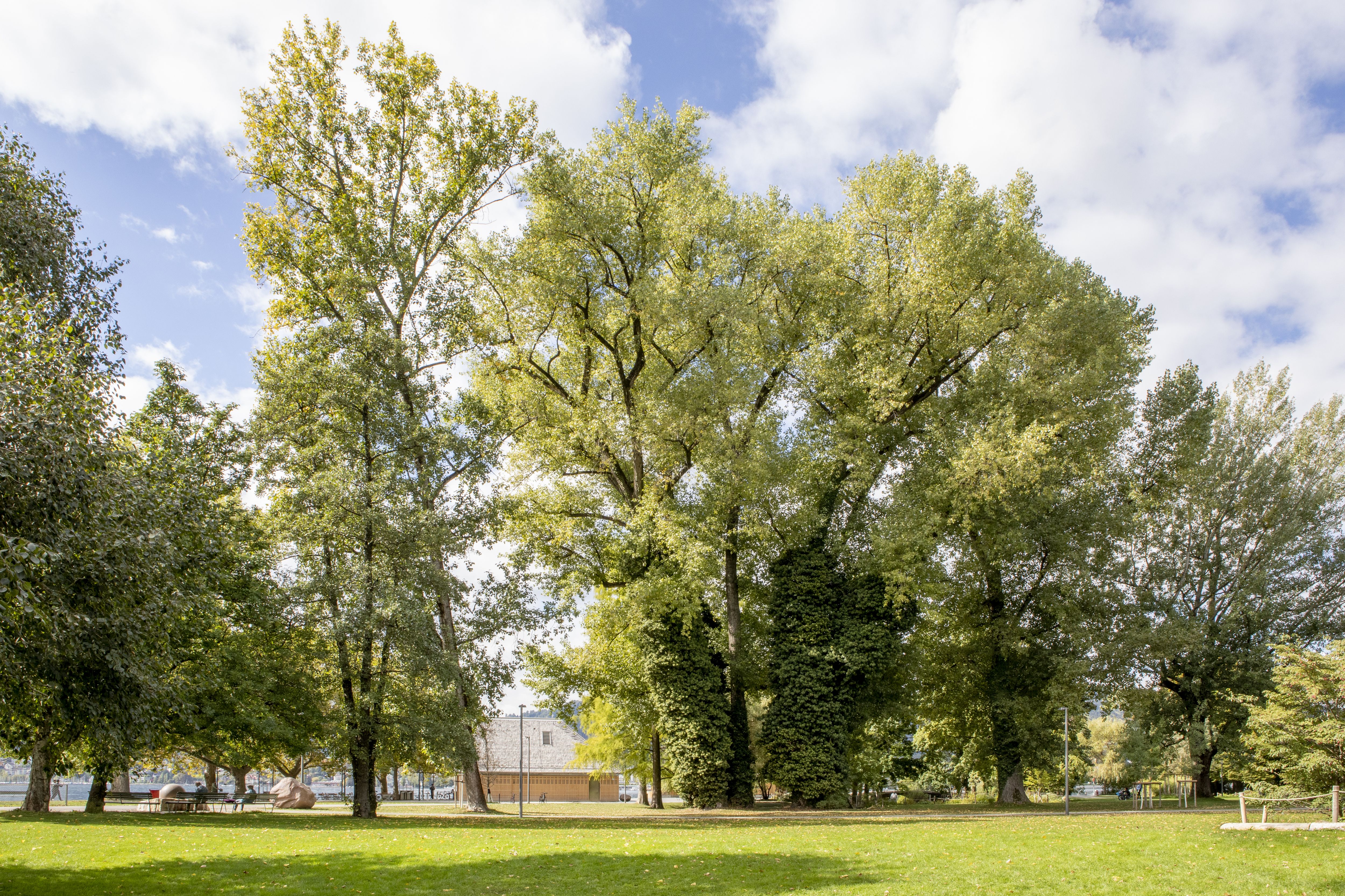 Am Zürichhorn überlagern sich Gestaltungen aus zwei Jahrhunderten.