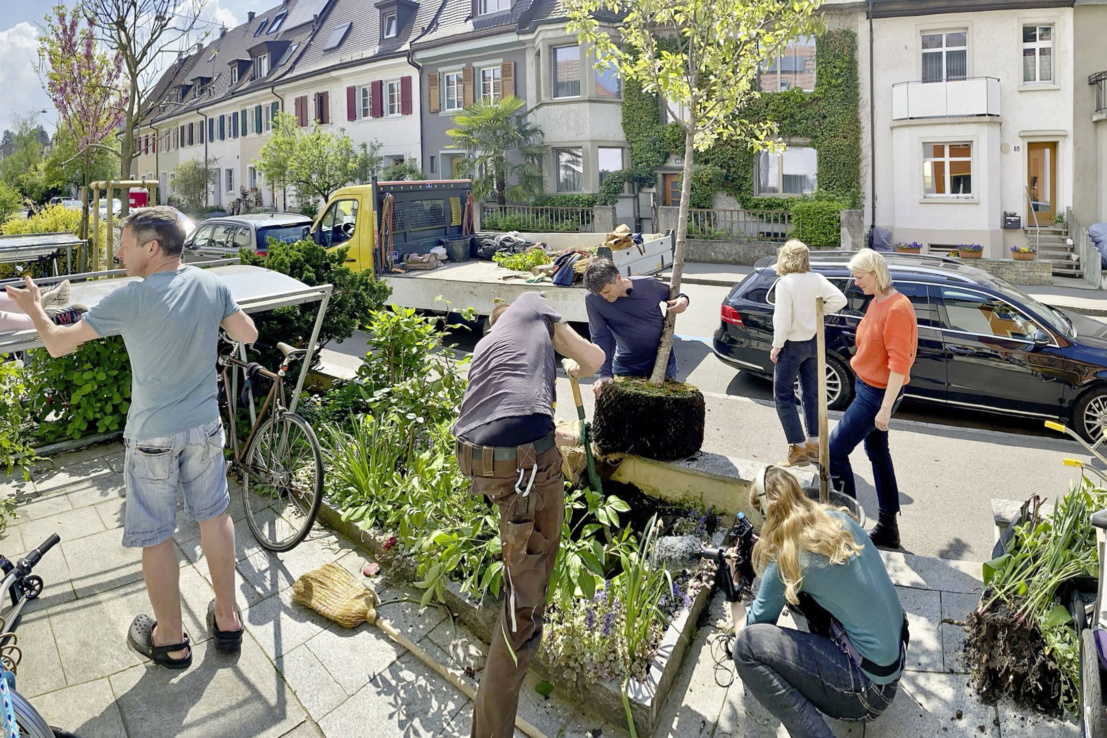 Bäume braucht die Stadt!