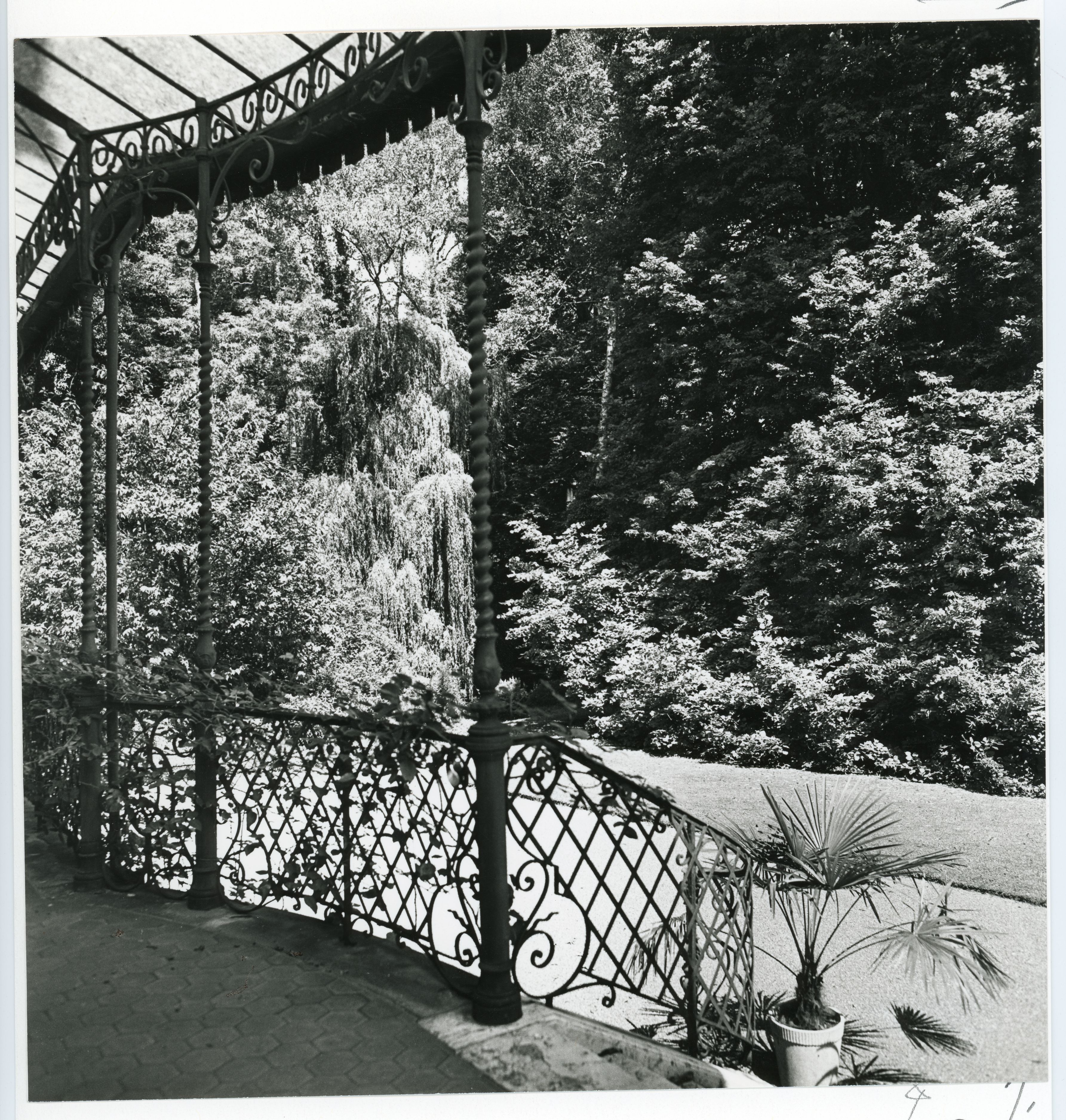 Ausblick in einen Garten