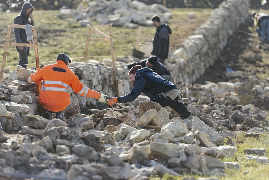 Grenchen, Untergrenchenberg, Trockenmauerprojekt des Vereins Naturkultur mit Freiwilligen, 2020