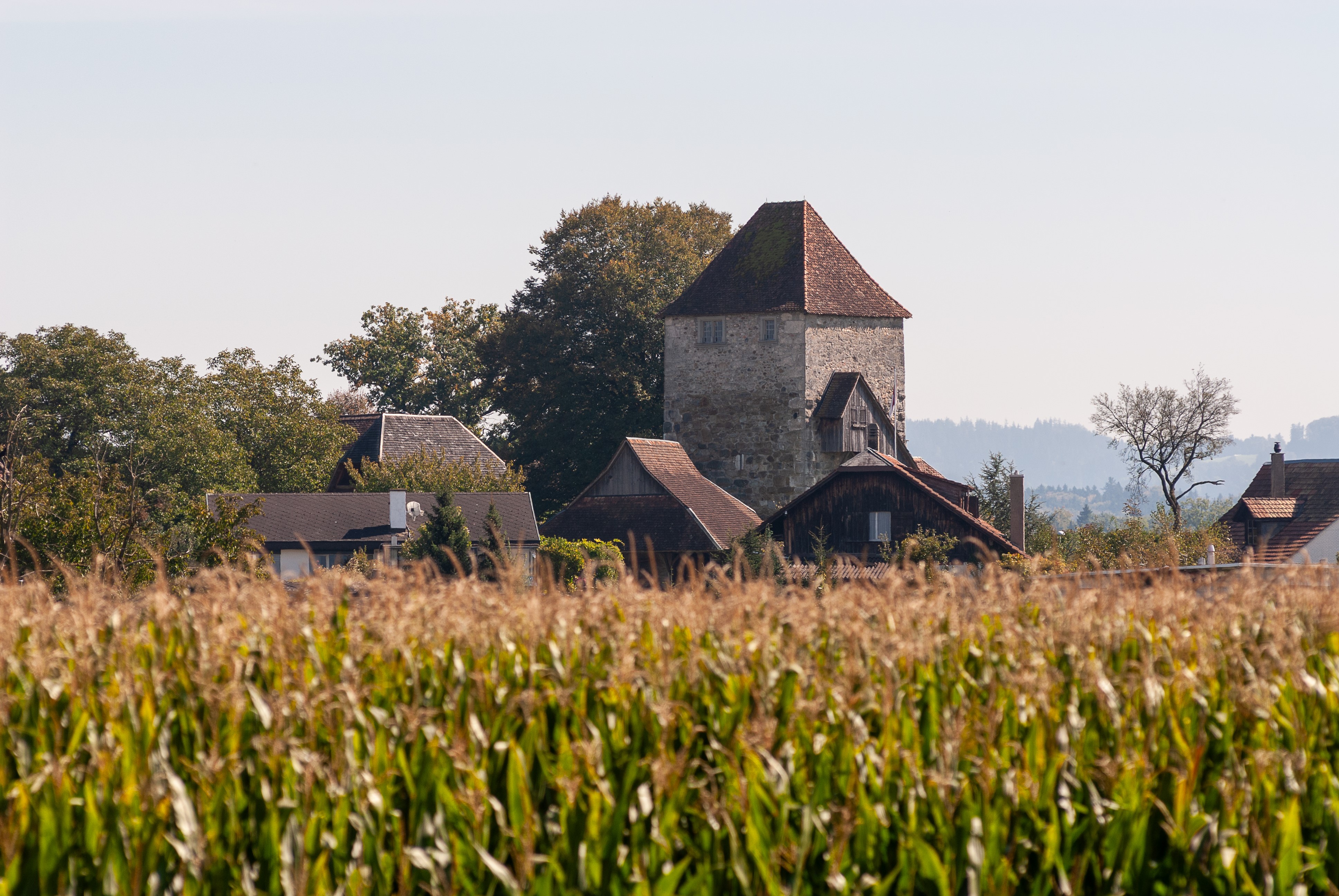 Halten, Turm und Speicher, Museum Wasseramt. 