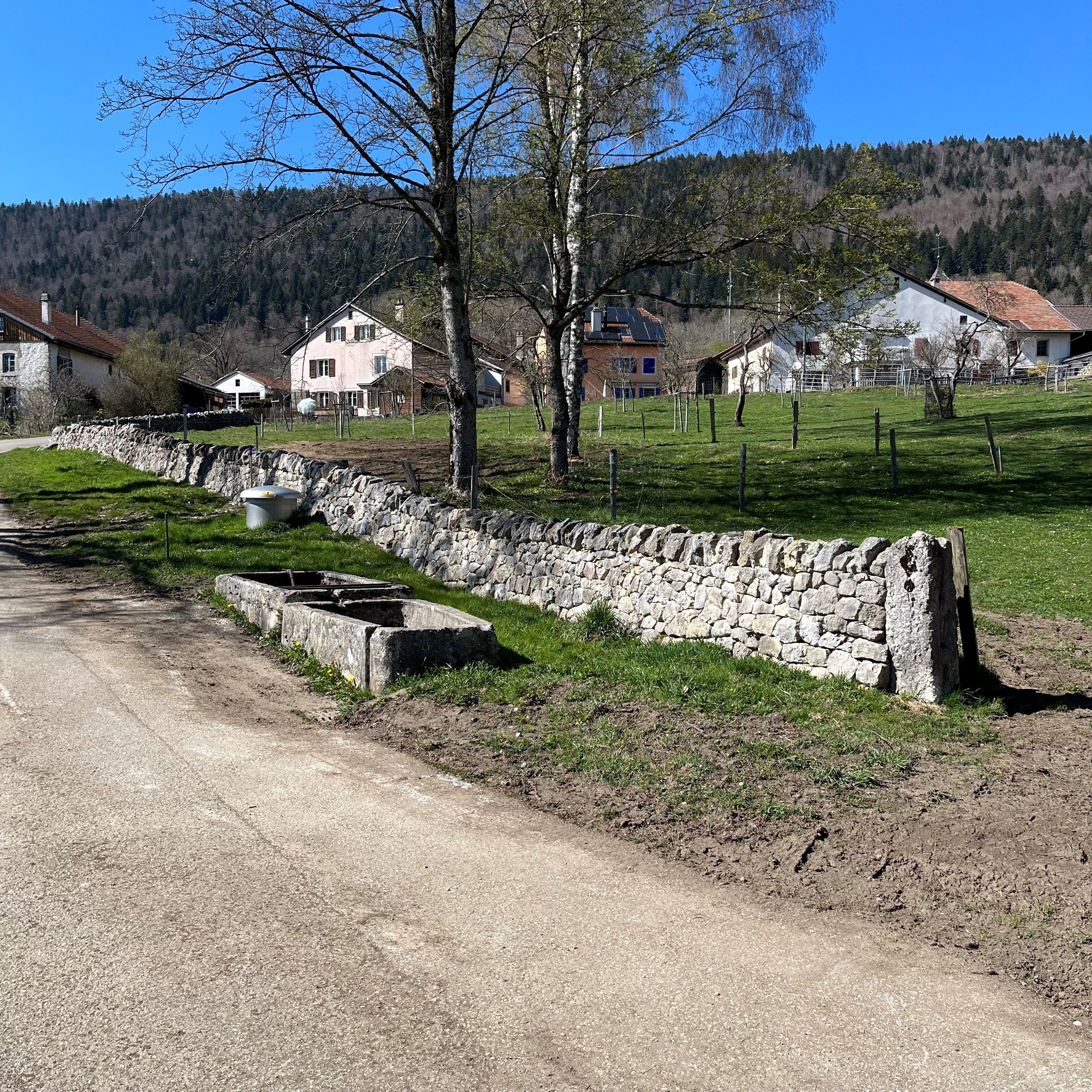 Le Pâquier, route de Neuchâtel