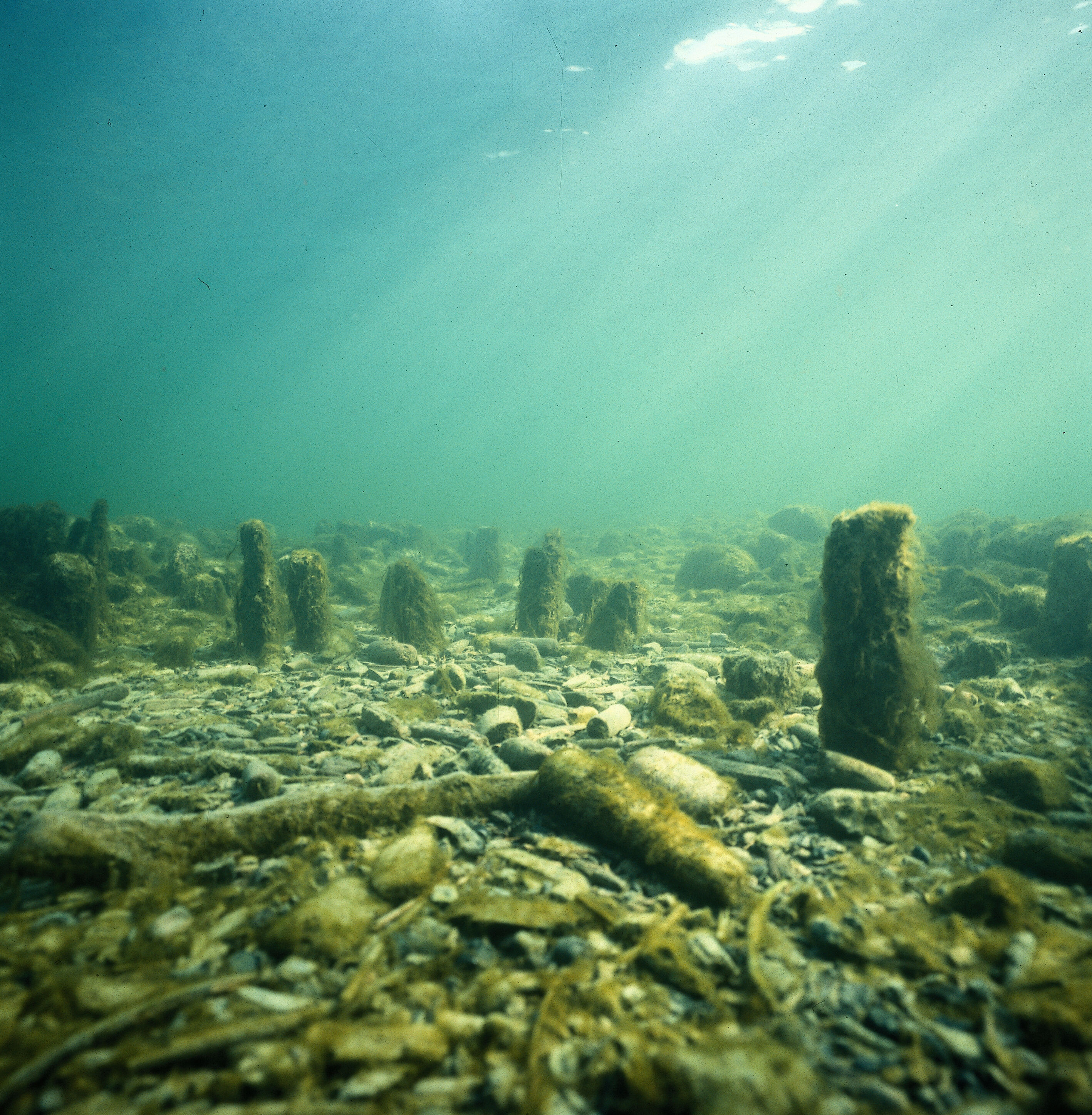 Unterwasseraufnahme, Seegrund, Archäologie