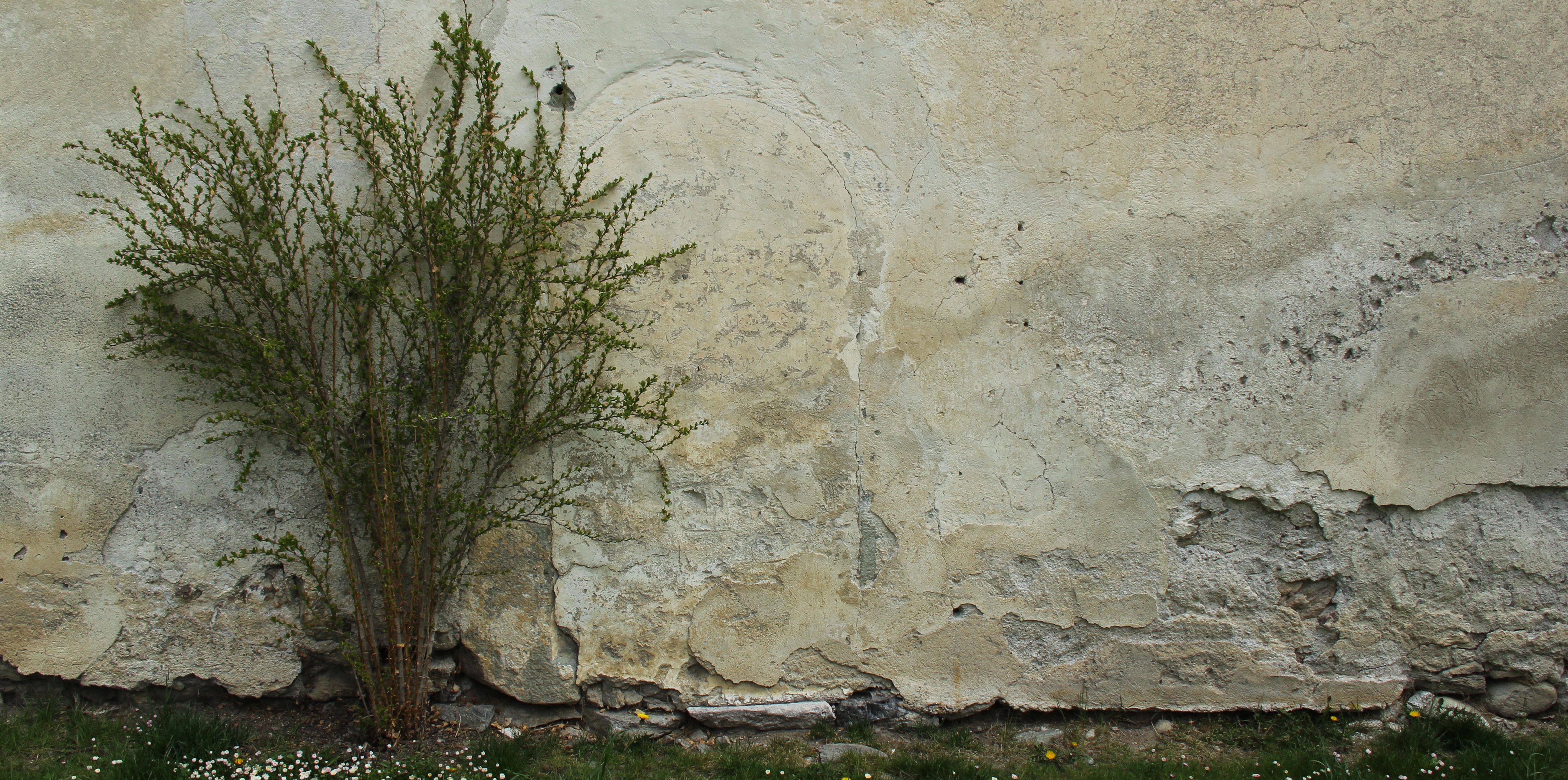 Blick auf die Wand im Westhof