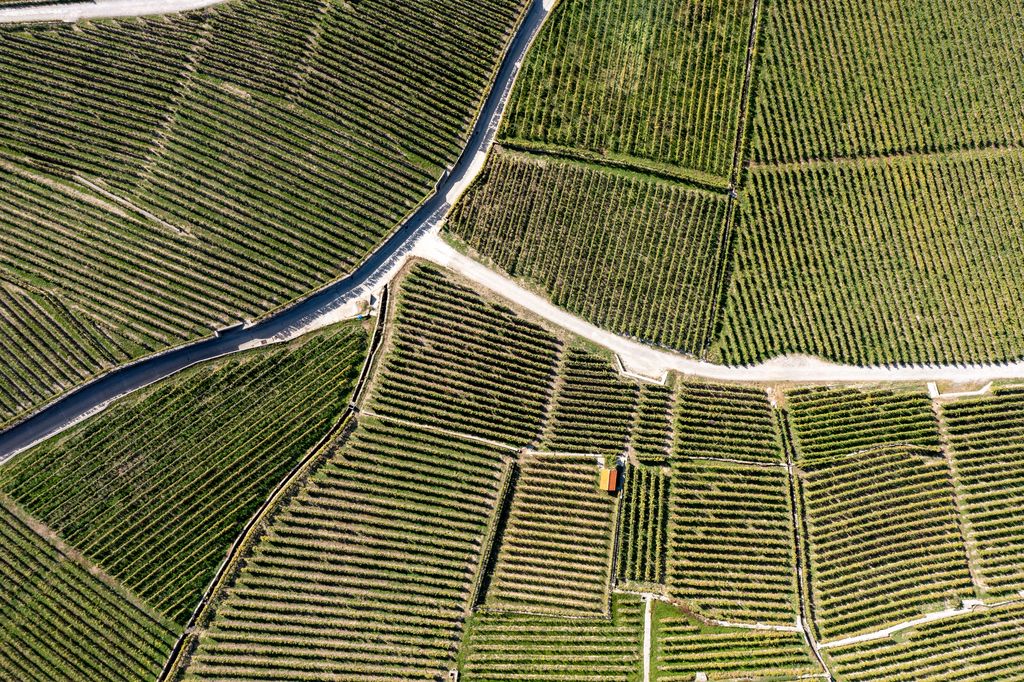 Rivaz Vevey via francigena patrimoine vaud lavaux